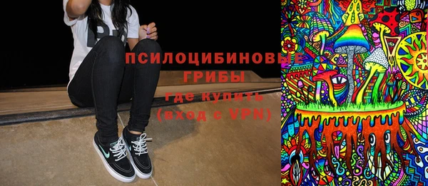 гашик Кинешма