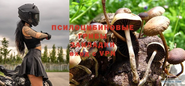 герыч Карпинск