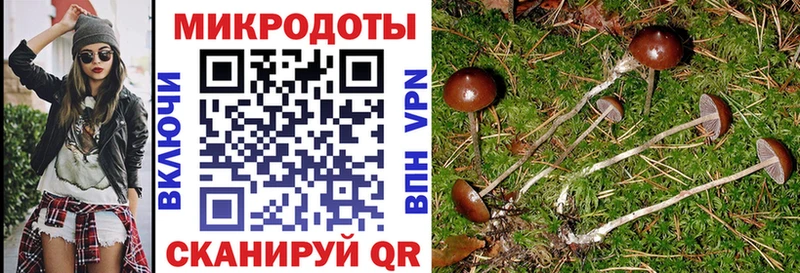 Купить  Воскресенск  Псилоцибиновые грибы GOLDEN TEACHER 